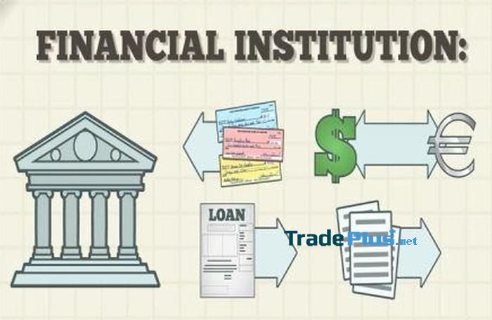 Định chế tài chính là gì