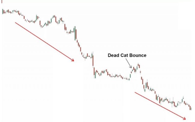 Dead Cat Bounce là gì? Cách giao dịch với mô hình cú nảy mèo chết 1