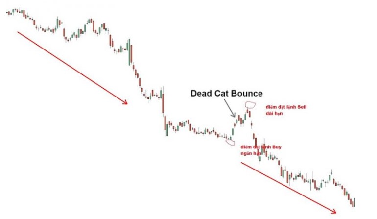 Dead Cat Bounce là gì? Cách giao dịch với mô hình cú nảy mèo chết 5