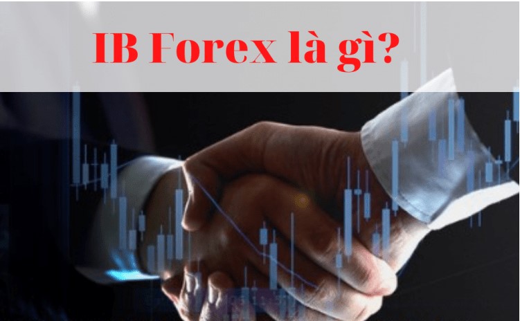 Nghề IB Forex là gì? Tham gia IB Forex như thế nào để thành công? 1