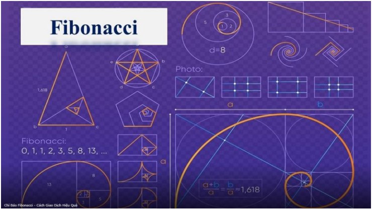 Dãy Fibonacci là gì? Cách sử dụng dãy fibonacci để chốt lời chủ động 1
