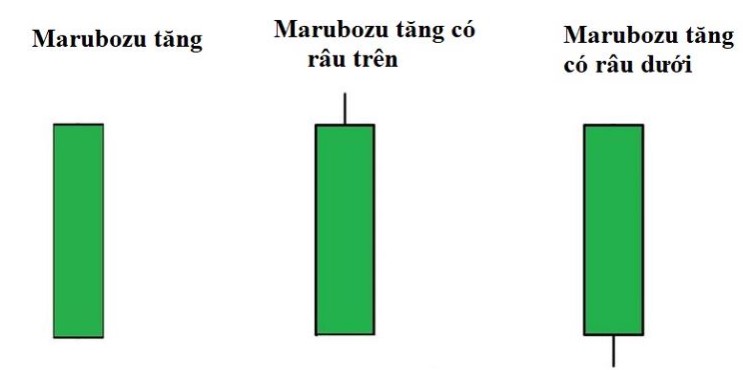 Nến Marubozu là gì? Đặc điểm và cách giao dịch hiệu quả với nến marubozu 4