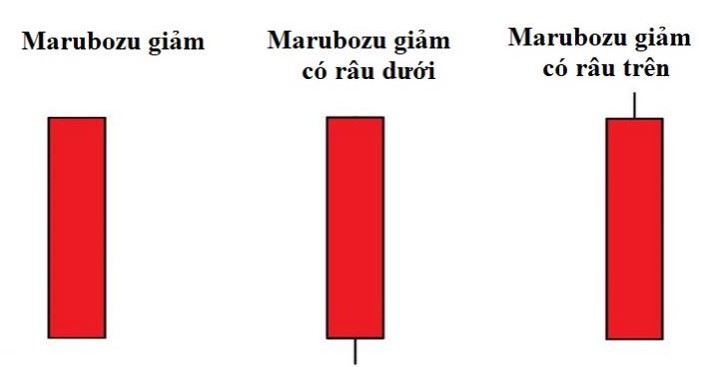 Nến Marubozu là gì? Đặc điểm và cách giao dịch hiệu quả với nến marubozu 5